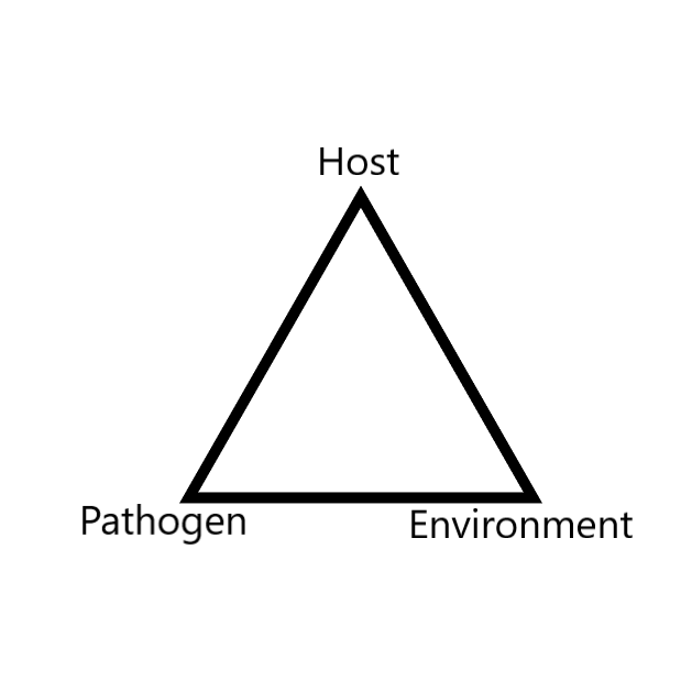 Disease_triangle